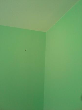 20140816_182005.jpg