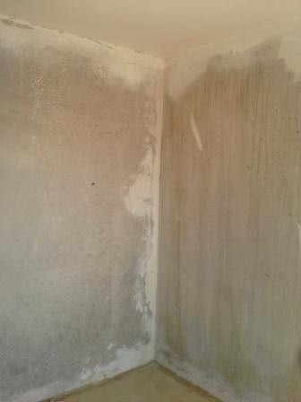 20140824_125708.jpg