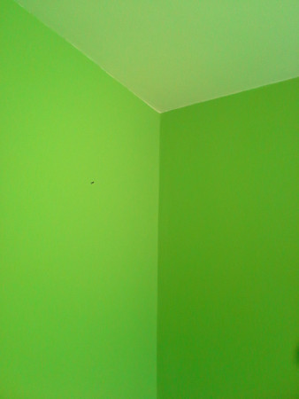 maľovka vo farbe po stierkovaní