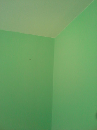 20140816_182005.jpg